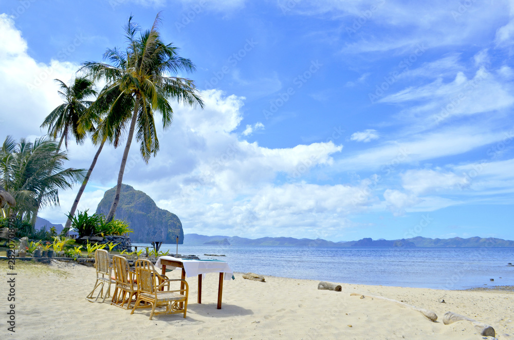 Obraz premium Nature landscape: Sandy tropical beach with crystal clear water, palms trees and some empty chairs.
