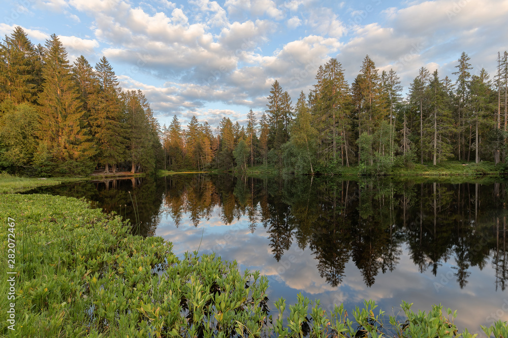 Allein am stillen Moorsee Allein am stillen Moorsee