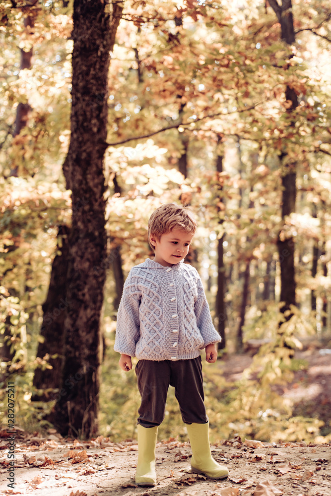 Child walking in autumn forest. Forest school is outdoor education delivery model in which students visit natural spaces. Boy in rubber boots walking in forest. Cute tourist concept