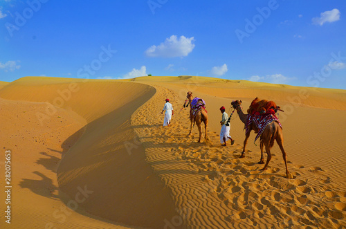 Two cameleers with camels walking on golden sand dunes at thar desert against blue sky, copy space
