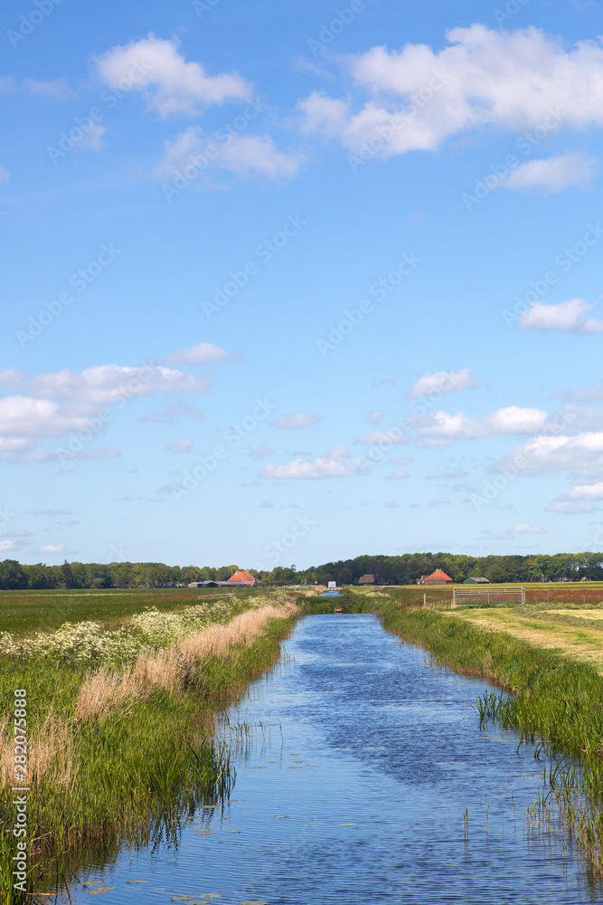 Typical rural landscape of southwestern part of Dutch province Friesland