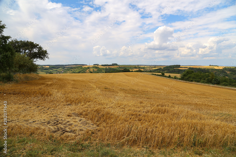 Rural landscape. Rural landscape with cleared wheat fields.