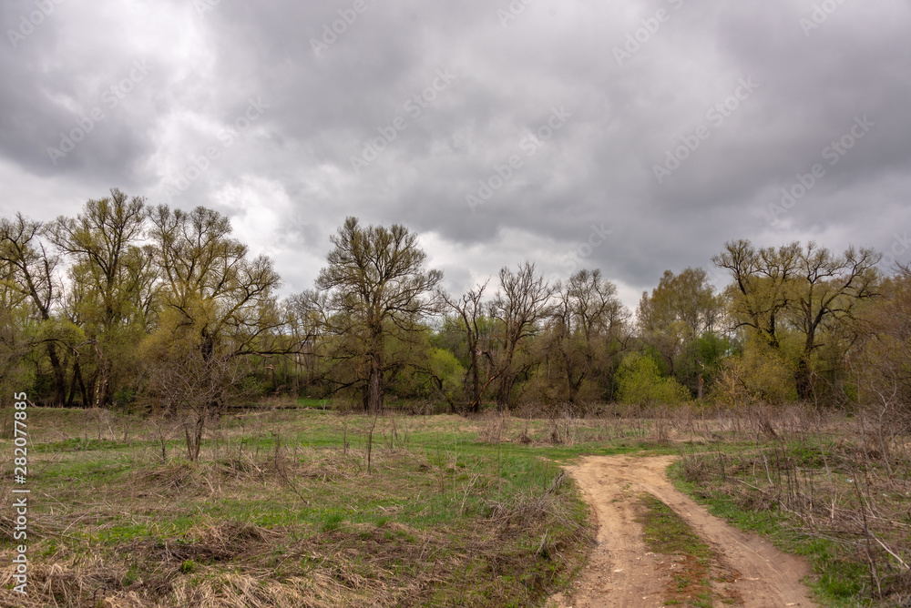 Rural landscape with a dirt road Rural landscape with a dirt road