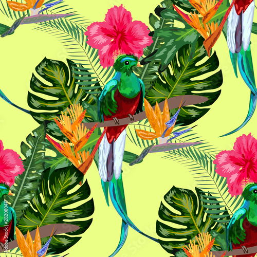 Seamless pattern of endangered species of birds Magnificent resplendent quetzal sitting on a branch against the backdrop of a tropical foliage and flowers, design