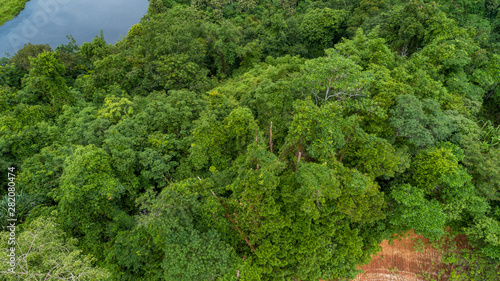 Aerial view Top view of Tropical rainforest