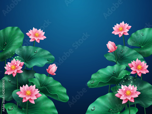 Lotus flower background. Plant with leaves and water drops. Floral pink blossom or nature decoration for banner. Egyptian bean or Indian, sacred lotus. Macau symbol. Asian flora. Botany ornament