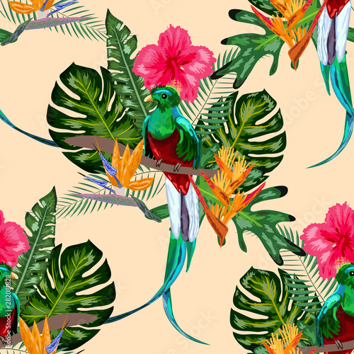 Seamless pattern of endangered species of birds Magnificent resplendent quetzal sitting on a branch against the backdrop of a tropical foliage and flowers, design