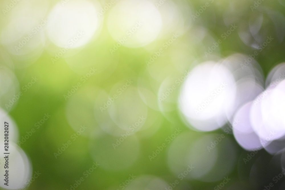 Obraz premium bokeh green background