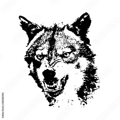 Wolf. The grinning face is black and white. Vector.
