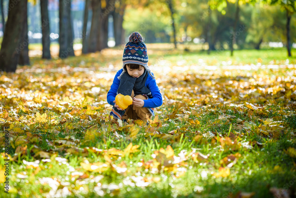 Golden autumn background with the fall leaves and little toddler boy playing in the autumnal foliage. Happy kid enjoying warm autumn sunny day. Best concept for banners and other media projects