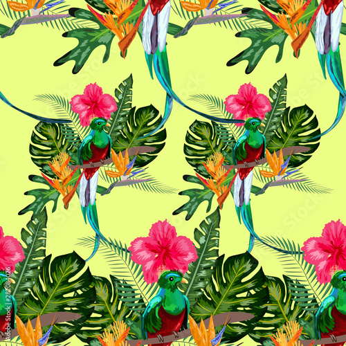 Seamless pattern of endangered species of birds Magnificent resplendent quetzal sitting on a branch against the backdrop of a tropical foliage and flowers, design