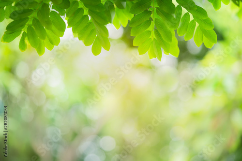 Green nature background.