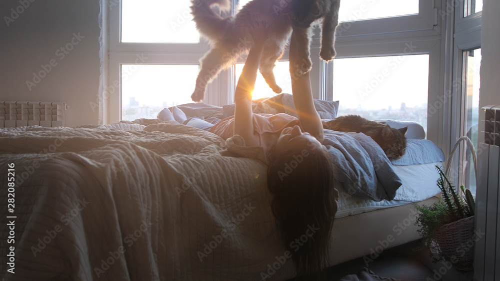 Young woman relaxing with her lovely Maine Coon cats laying down in bed by the window during sunset with lens flare effects