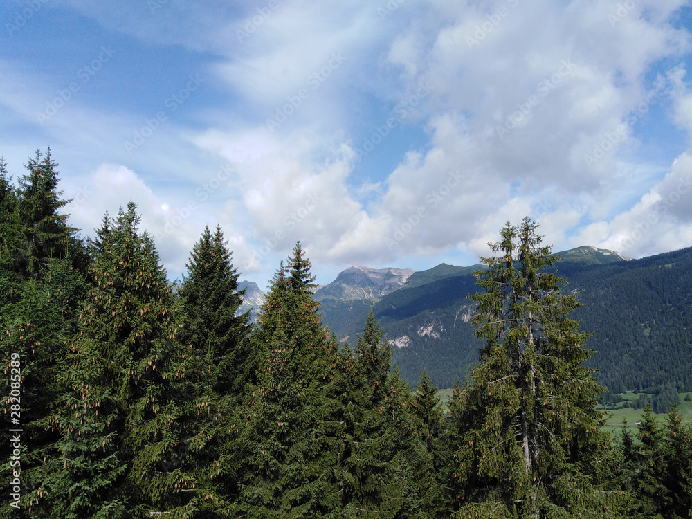 Berg und Wald