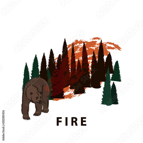 Bear coming out of a burning forest, taiga - icon - isolated on white background - flat style - vector. Fiery element.