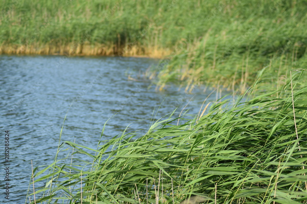 Fototapeta premium Lago Bartaag