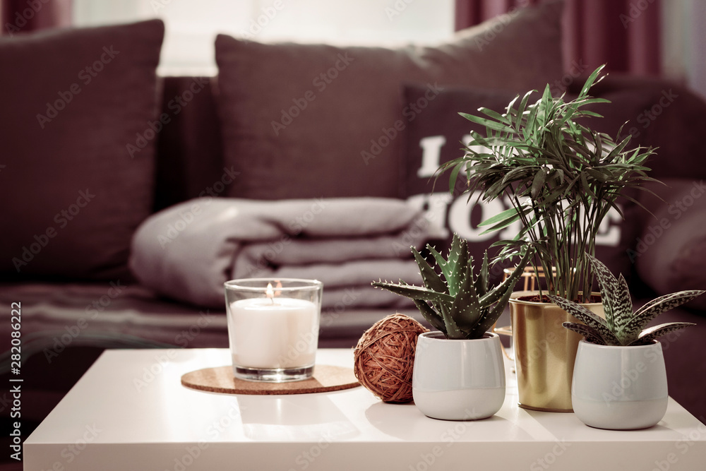 still life home atmosphere in the interior with candle and home plants, home decor elements, the concept of comfort and coziness