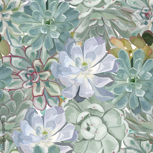 Seamless pattern with succulent flowers and leaves. Watercolor. Vector, EPS 10.