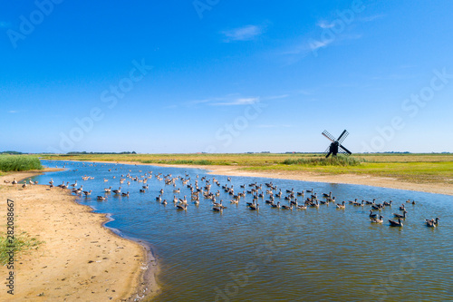 Little windmill on the island Texel photo