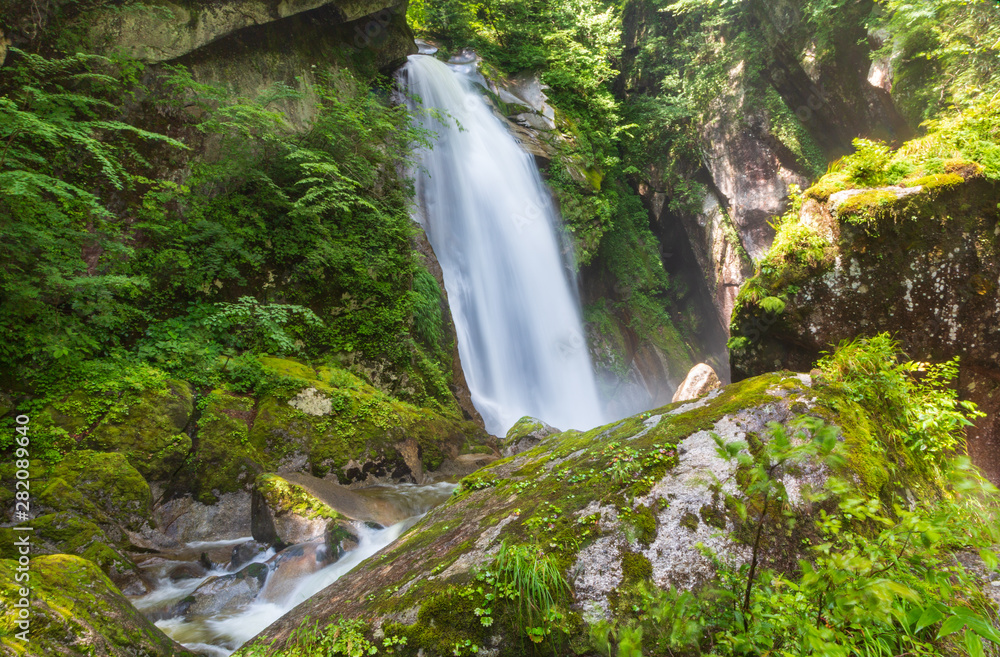 Obraz premium 尾白川渓谷不動の滝