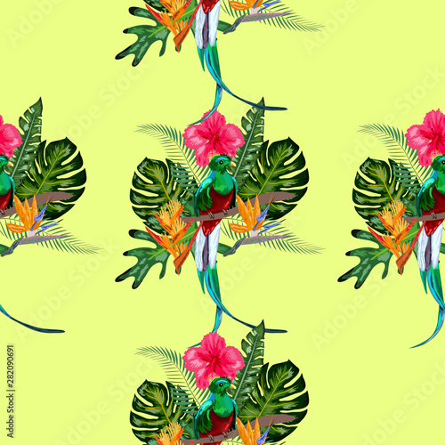 Seamless pattern of endangered species of birds Magnificent resplendent quetzal sitting on a branch against the backdrop of a tropical foliage and flowers, design