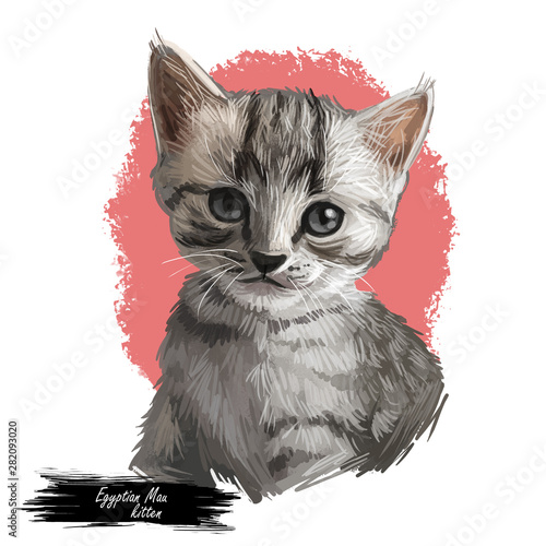Obraz na płótnie Egyptian Mau Cat Portrait Isolated, Digital Art