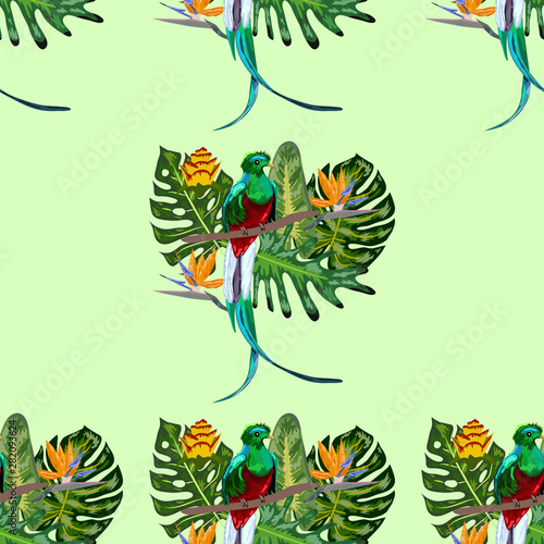 Seamless pattern of endangered species of birds Magnificent resplendent quetzal sitting on a branch against the backdrop of a tropical foliage and flowers, design