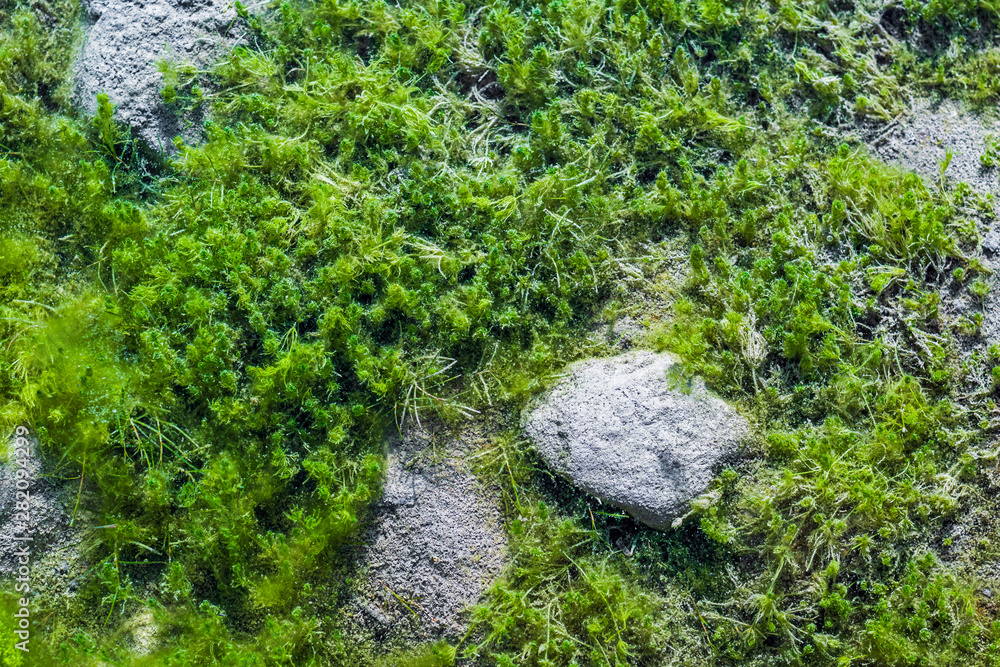 muddy backdrop of the river high angle view full frame muddy backdrop of the river high angle view full frame