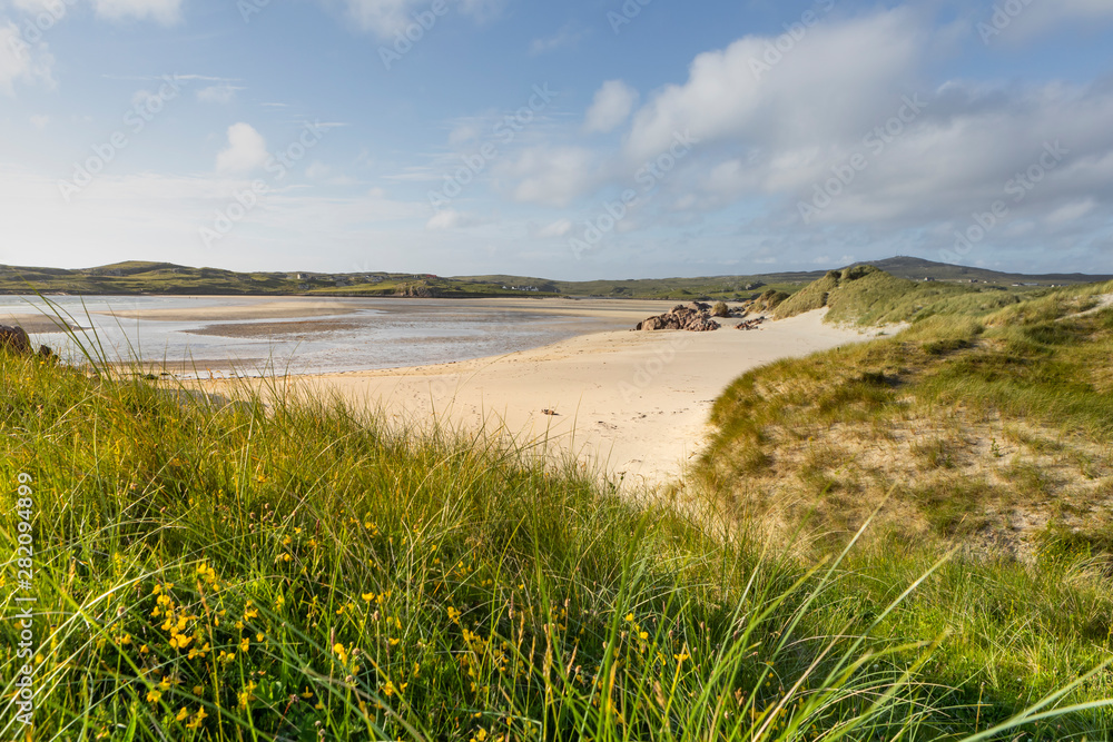 sandy beach with dune grass in Scotland, Isle of Lewis at low tide