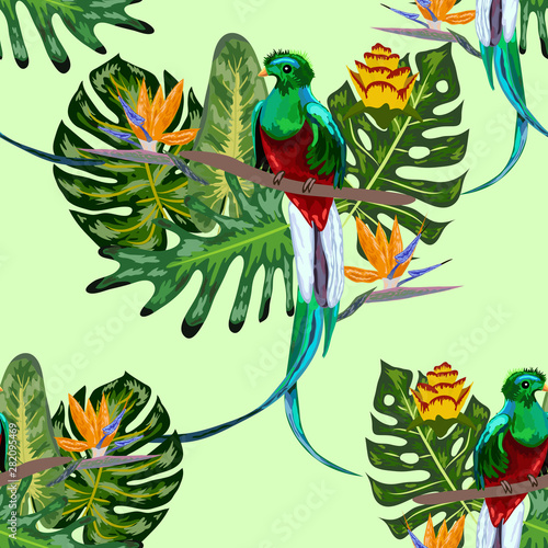 Seamless pattern of endangered species of birds Magnificent resplendent quetzal sitting on a branch against the backdrop of a tropical foliage and flowers, design