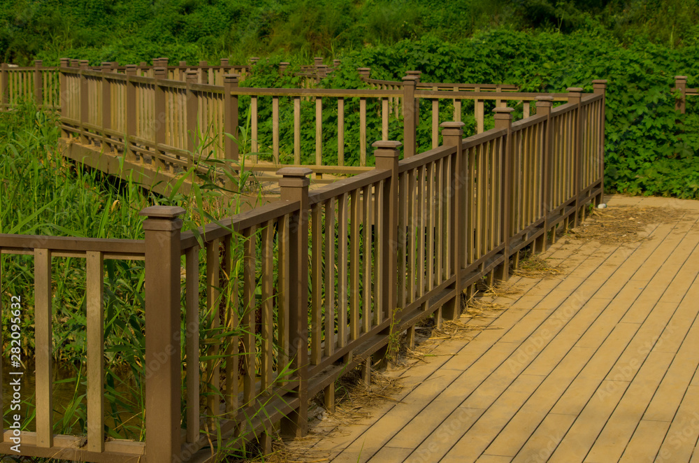 wooden bridge in the forest