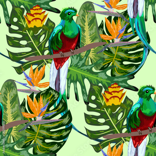 Seamless pattern of endangered species of birds Magnificent resplendent quetzal sitting on a branch against the backdrop of a tropical foliage and flowers, design