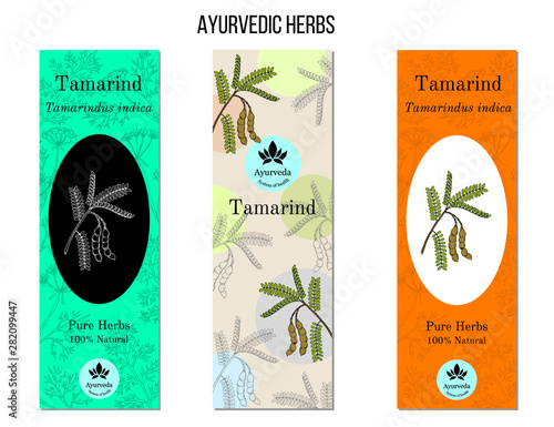 Ayurvedic herbs banners. Tamarind Tamarindus indica 