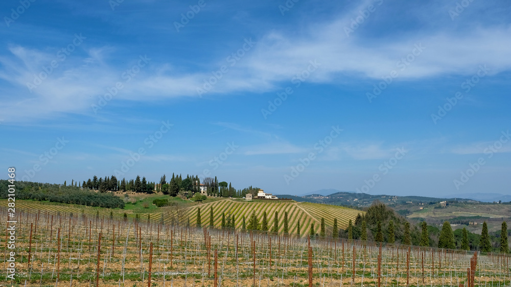 Fototapeta premium Fields and cypress trees near the road. Tuscany, Italy