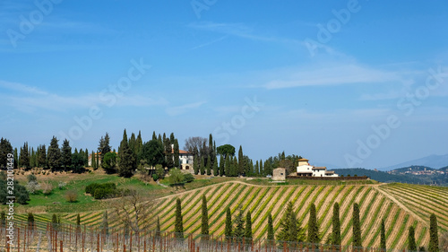 Fields and cypress trees near the road. Tuscany  Italy