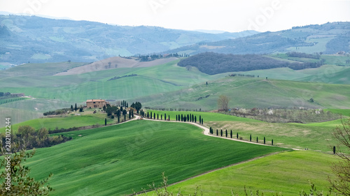 Hills, fields and cypress trees near the road. Tuscany, Italy