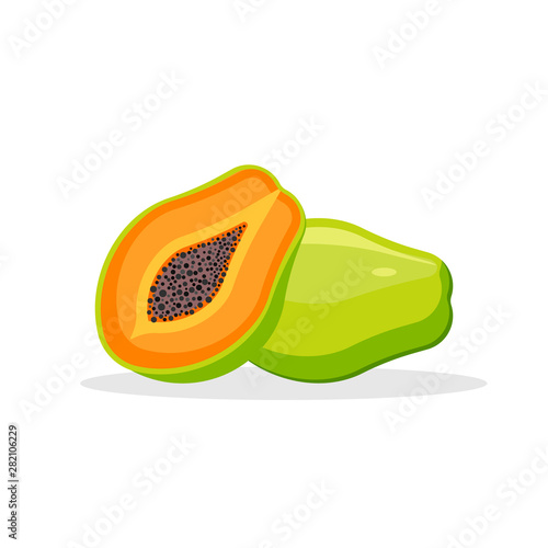 Papaya isolated on white background. Vector illustration.