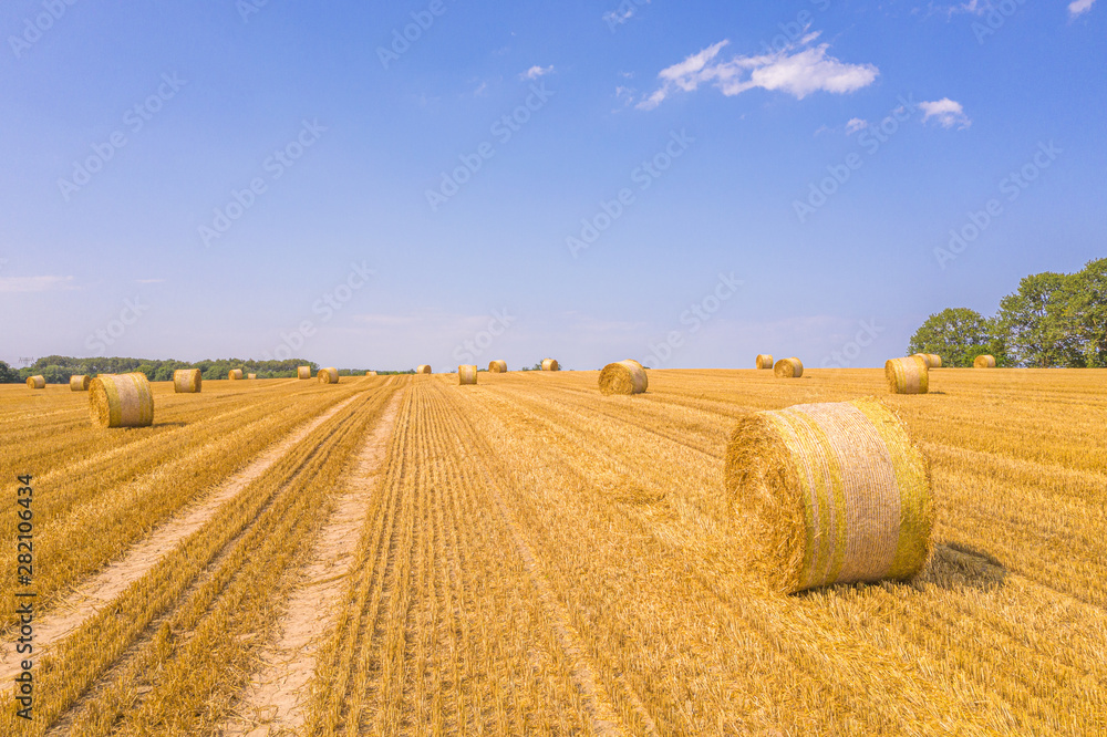 lots of yellow bales of straw lying on a field