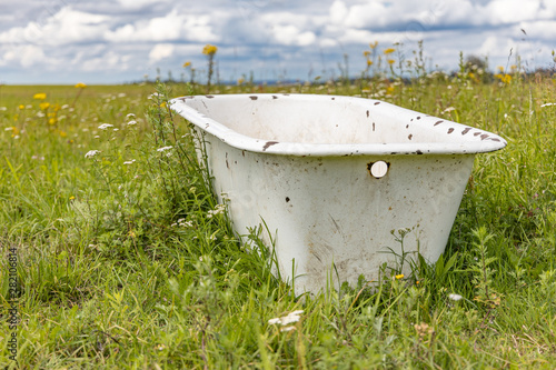 Obraz na płótnie Old bath tube in the middle of the meadow. w salonie