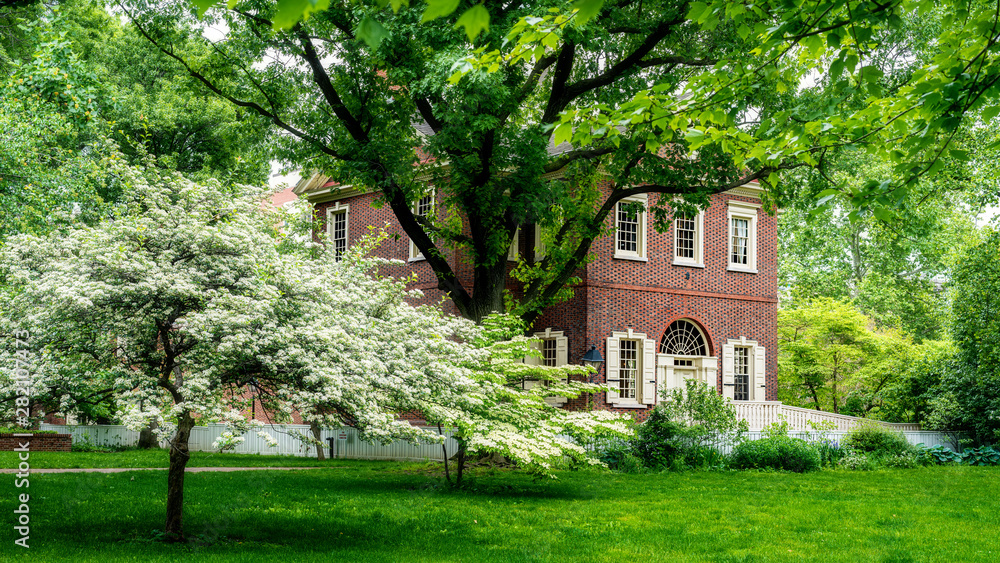 Classic brock building with flowering tree and green grass Philadelphia Classic brock building with flowering tree and green grass Philadelphia