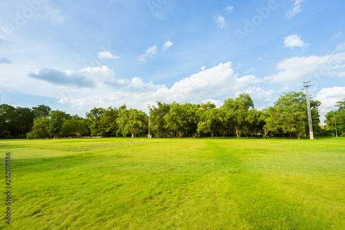 landscape of grass field and green environment public park use as natural background, backdrop. © sommart