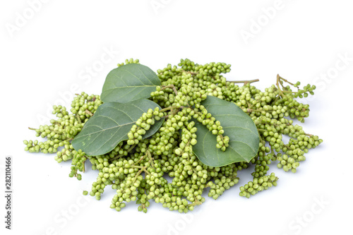 Young green of Thai Blueberry (Thai local fruit), Maoberry or Antidesma thwaitesianum isolated on white