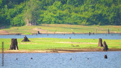 Beautiful Natural view in the garden with trees, rivers.Beautiful views