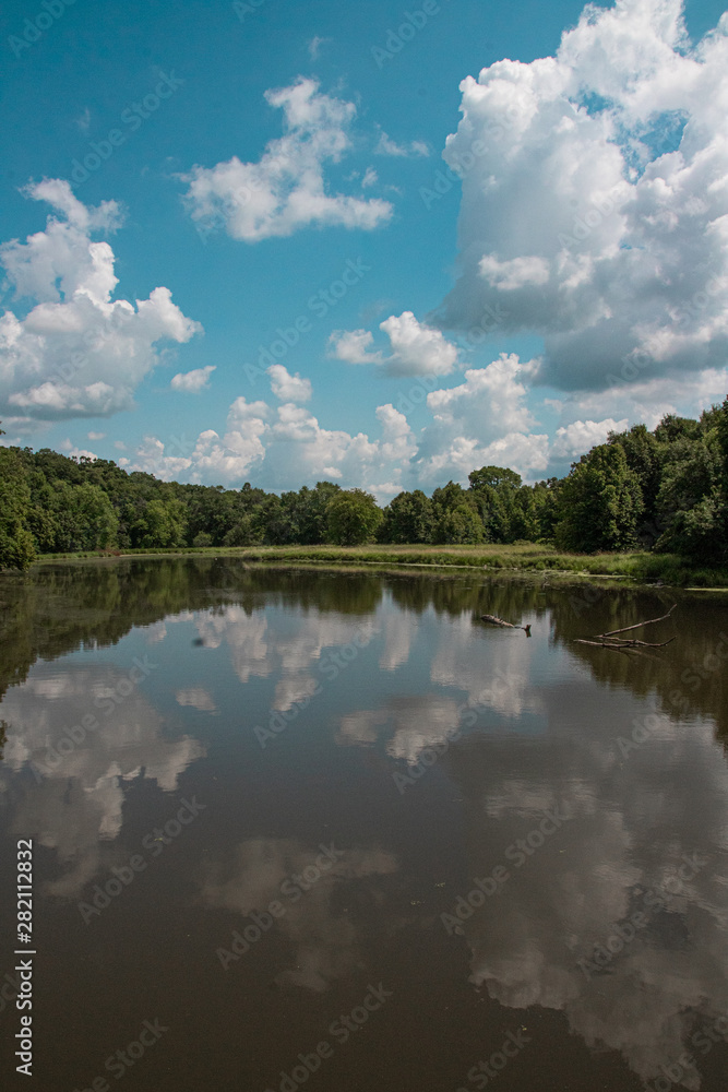 Sky reflected in the river in the woods