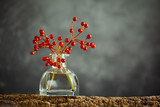 Beautiful autumn red berries in glass bottle on wood at bokeh background, front view. Autumn still life with berries.