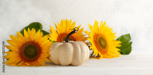 Autumn still life with sunf...