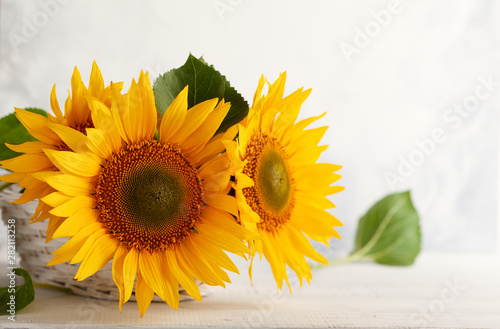 Autumn still life with sunf...