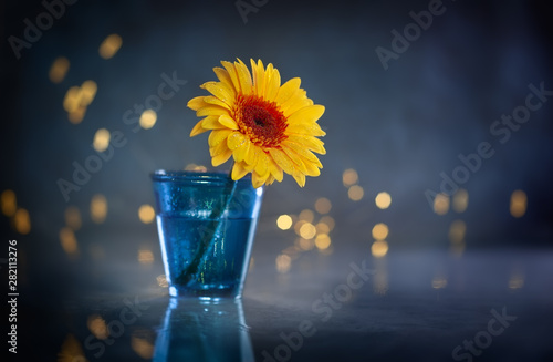 Beautiful yellow flower in ...