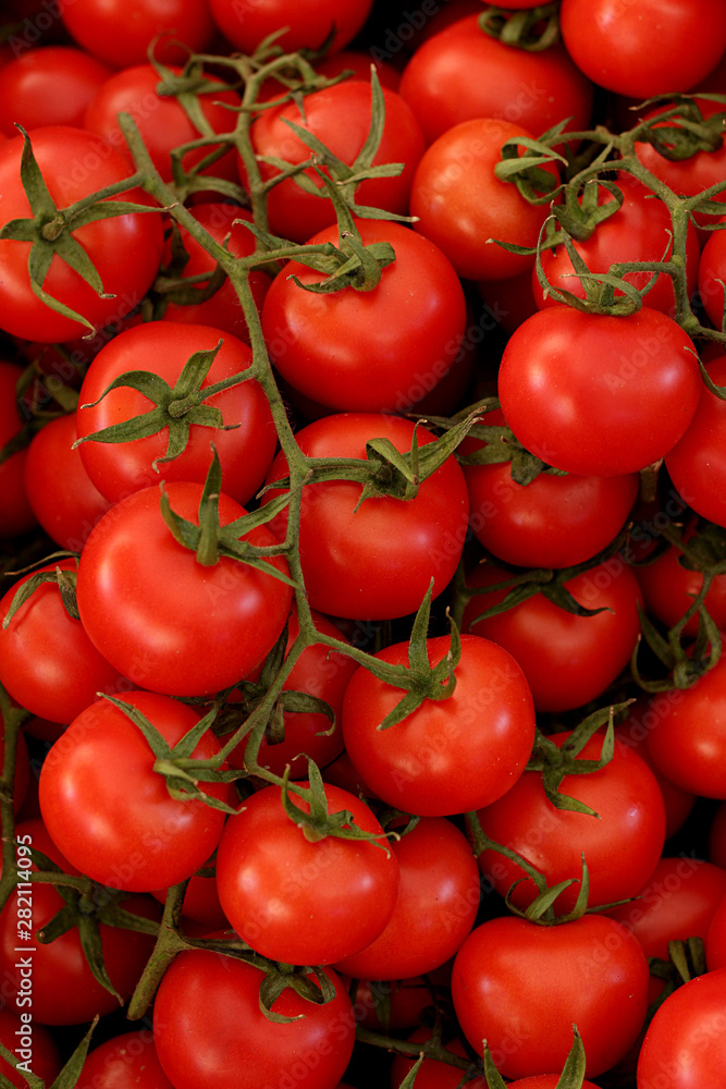 Red and large cluster tomatoes on the market