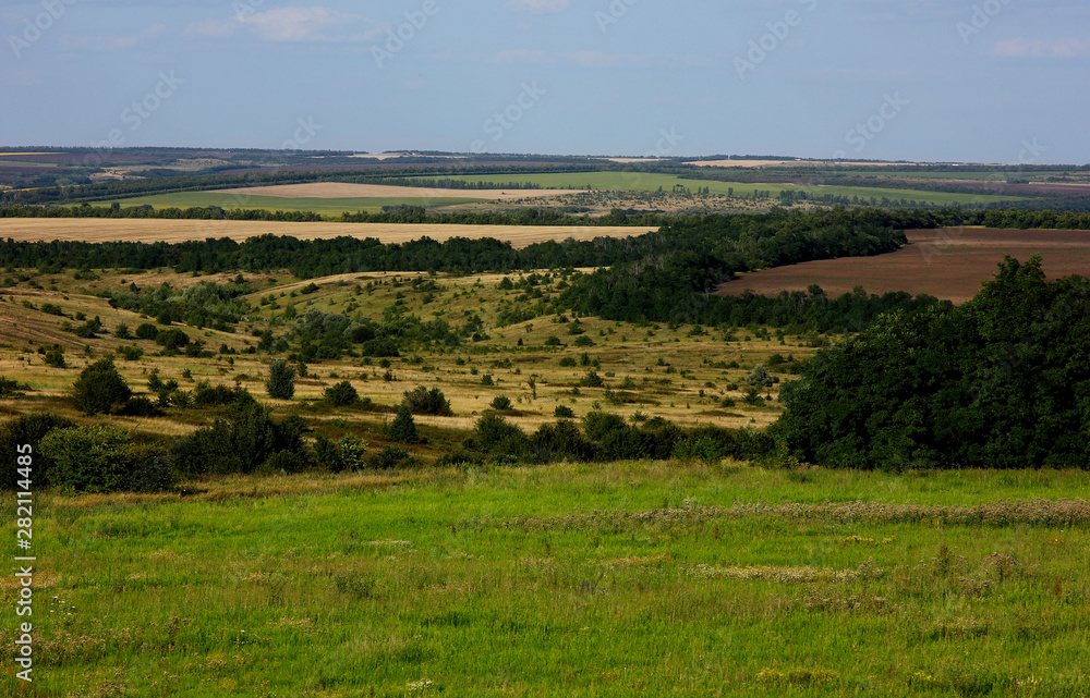 panoramic landscape with wheat field and forest on the horizon